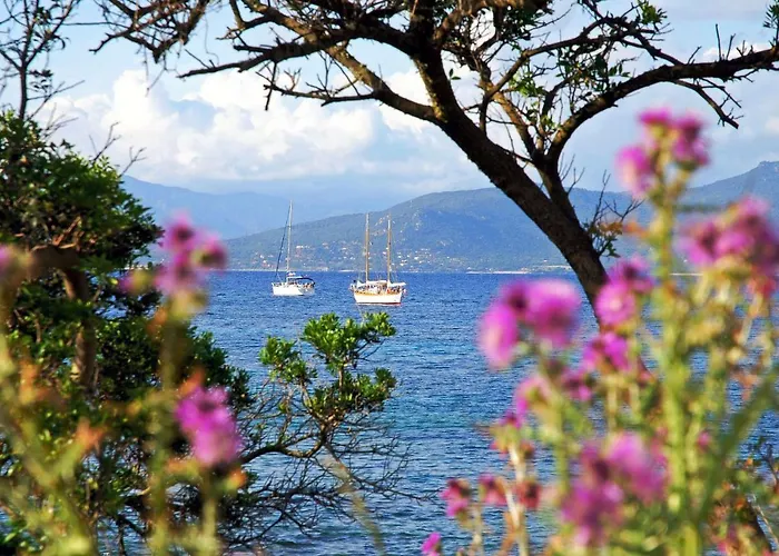 Campomoro Belvedere-Campomoro