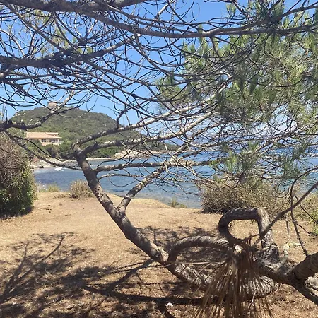 Campomoro