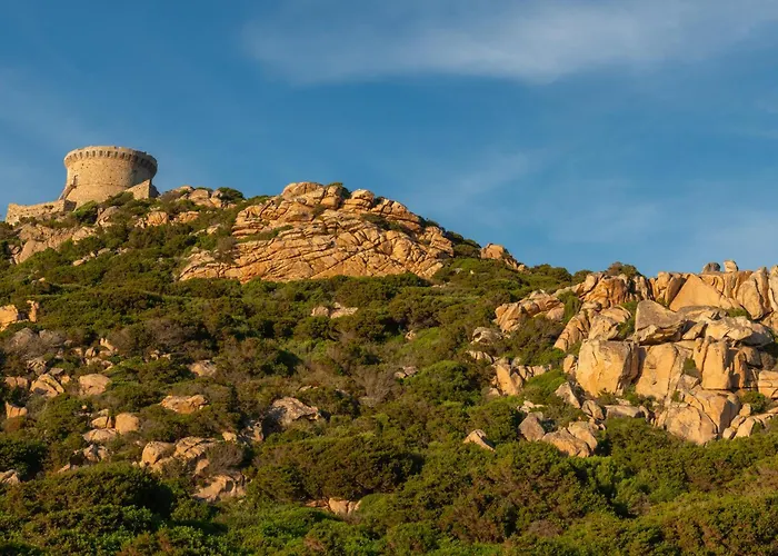 Campomoro カンポモロ