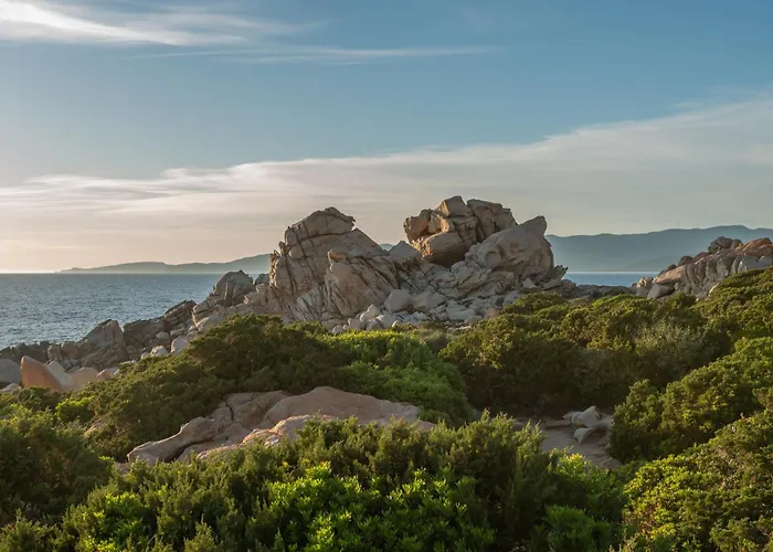 Campomoro カンポモロ